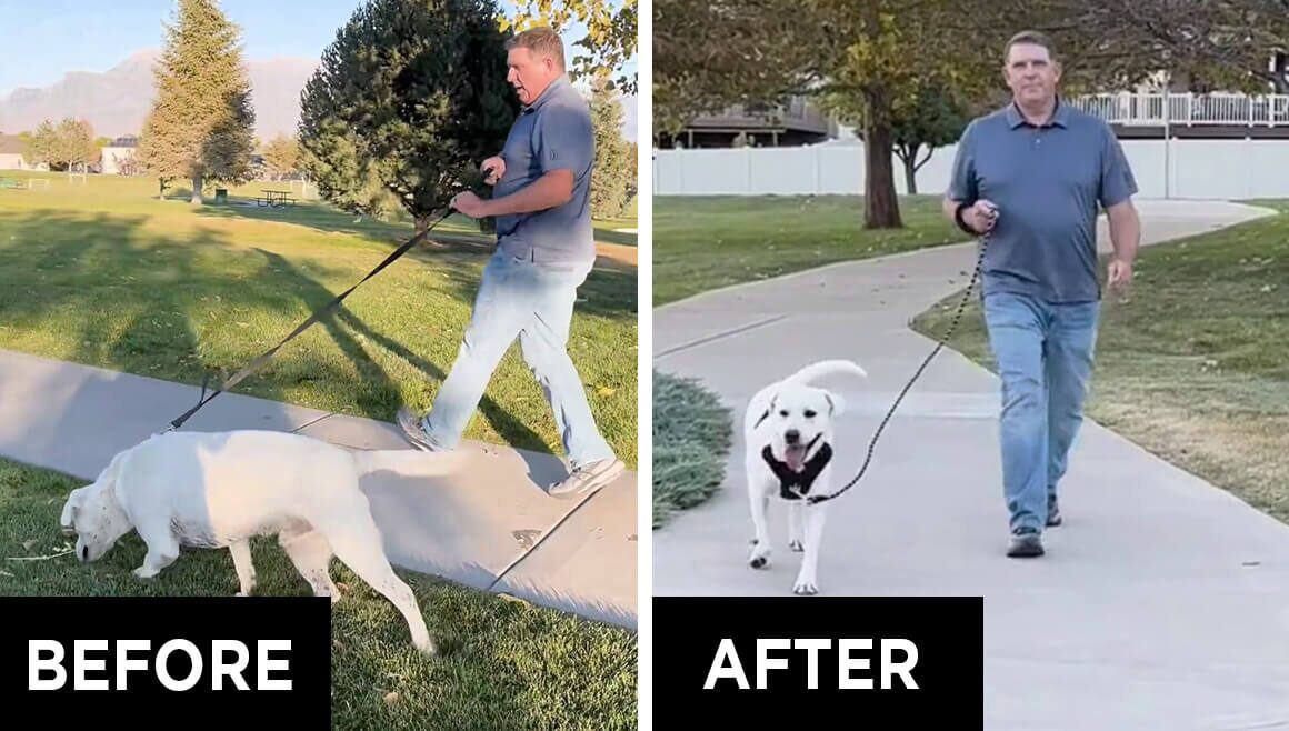 Restore control on walks — Reward Interruption framework