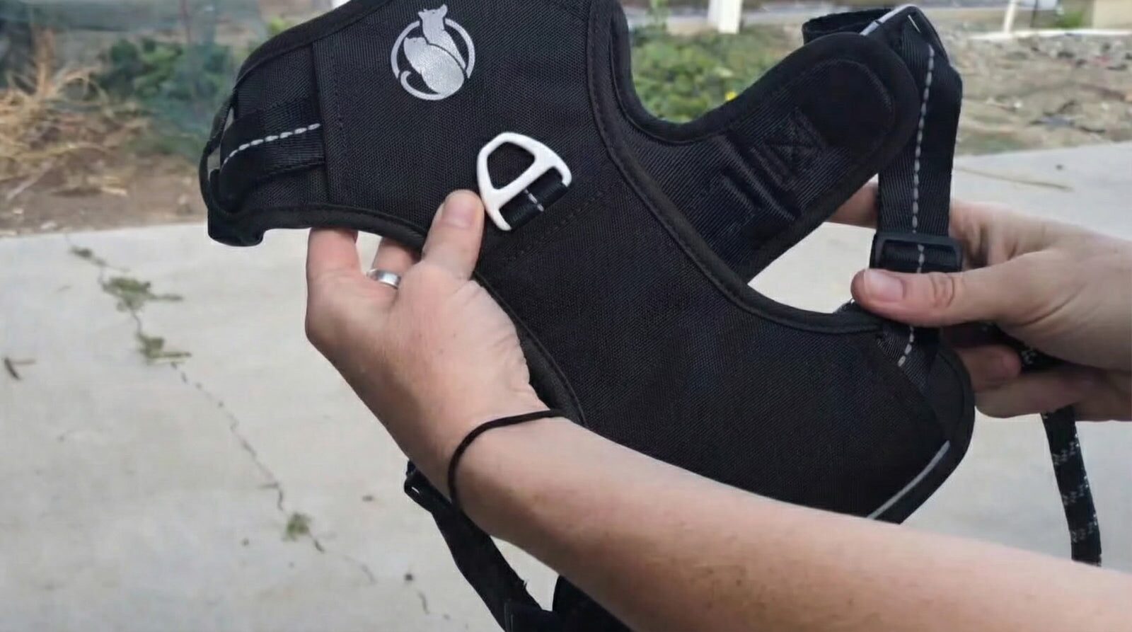 PawSafe Steady+Style harness — pricing and value