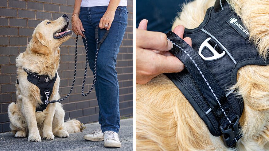 The PawSafe Steady+Style harness with hidden AirTag pocket