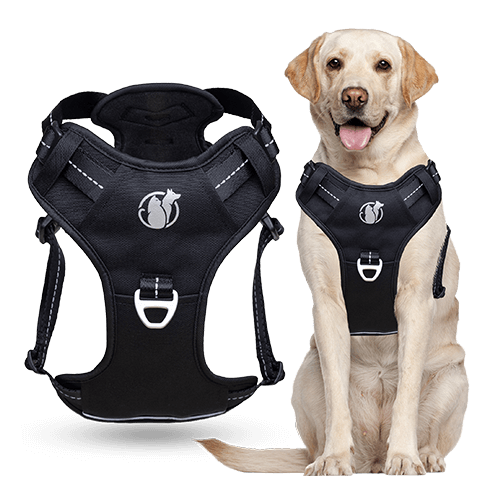 PawSafe Steady+Style Harness — Classic Black, Ever Green, and Wild Berry