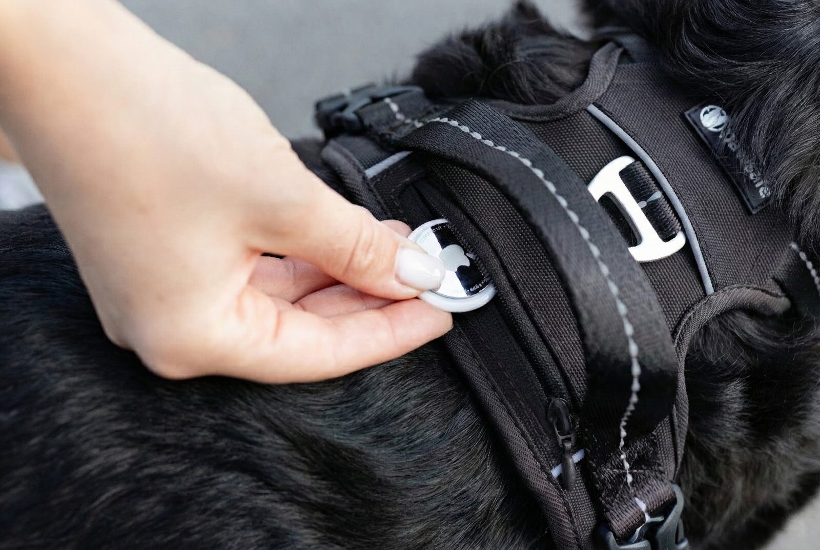 Apple AirTag sliding into the hidden zipper pocket on the harness