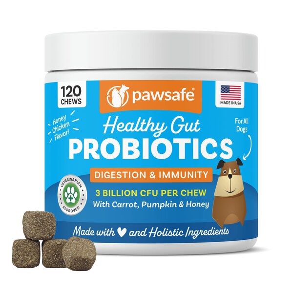 A tub of PawSafe Healthy Gut Probiotic Soft Chews, 120 honey chicken flavor chews
