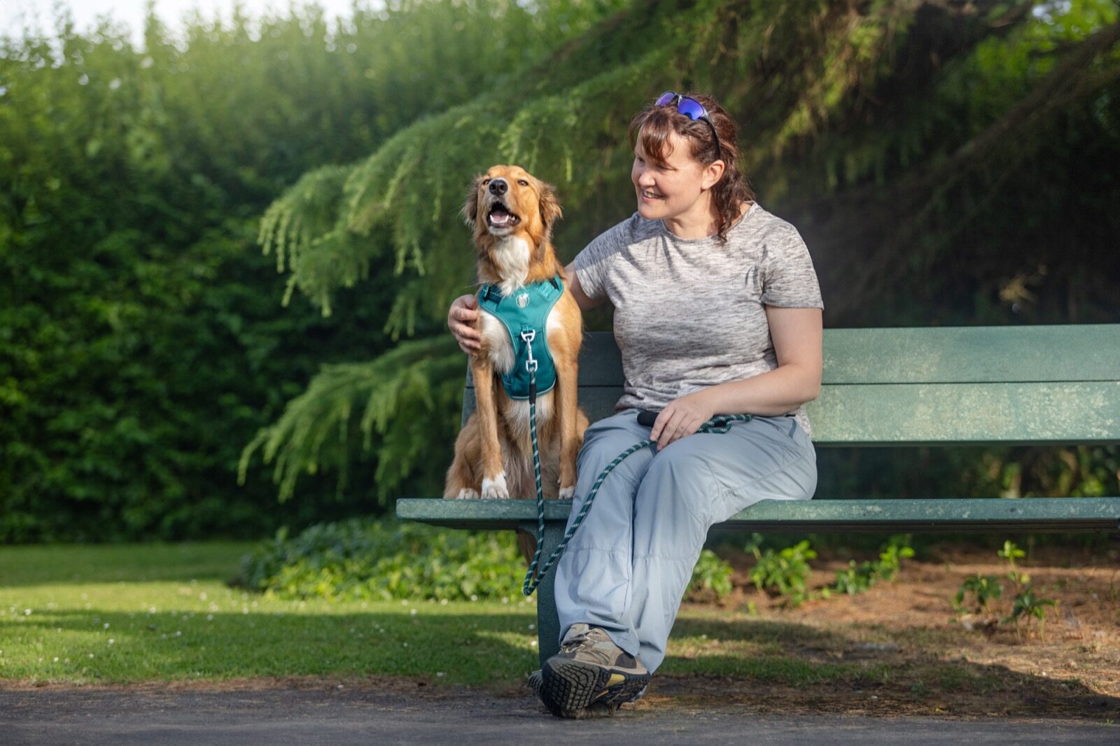 A golden retriever in a teal PawSafe Steady+Style harness sits on a park bench beside its owner, padded top grab handle clearly visible on the back of the harness
