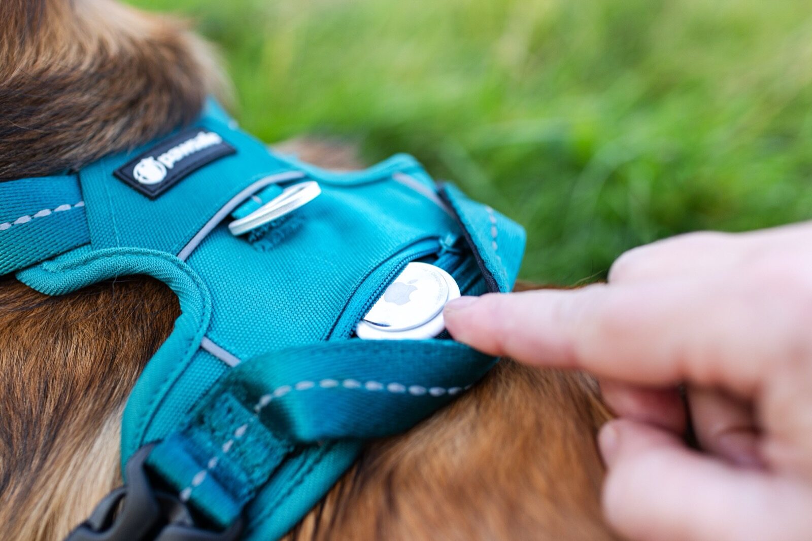 Close-up of a hand inserting an Apple AirTag into the concealed zip pocket on a PawSafe Steady+Style harness worn by a dog in grass