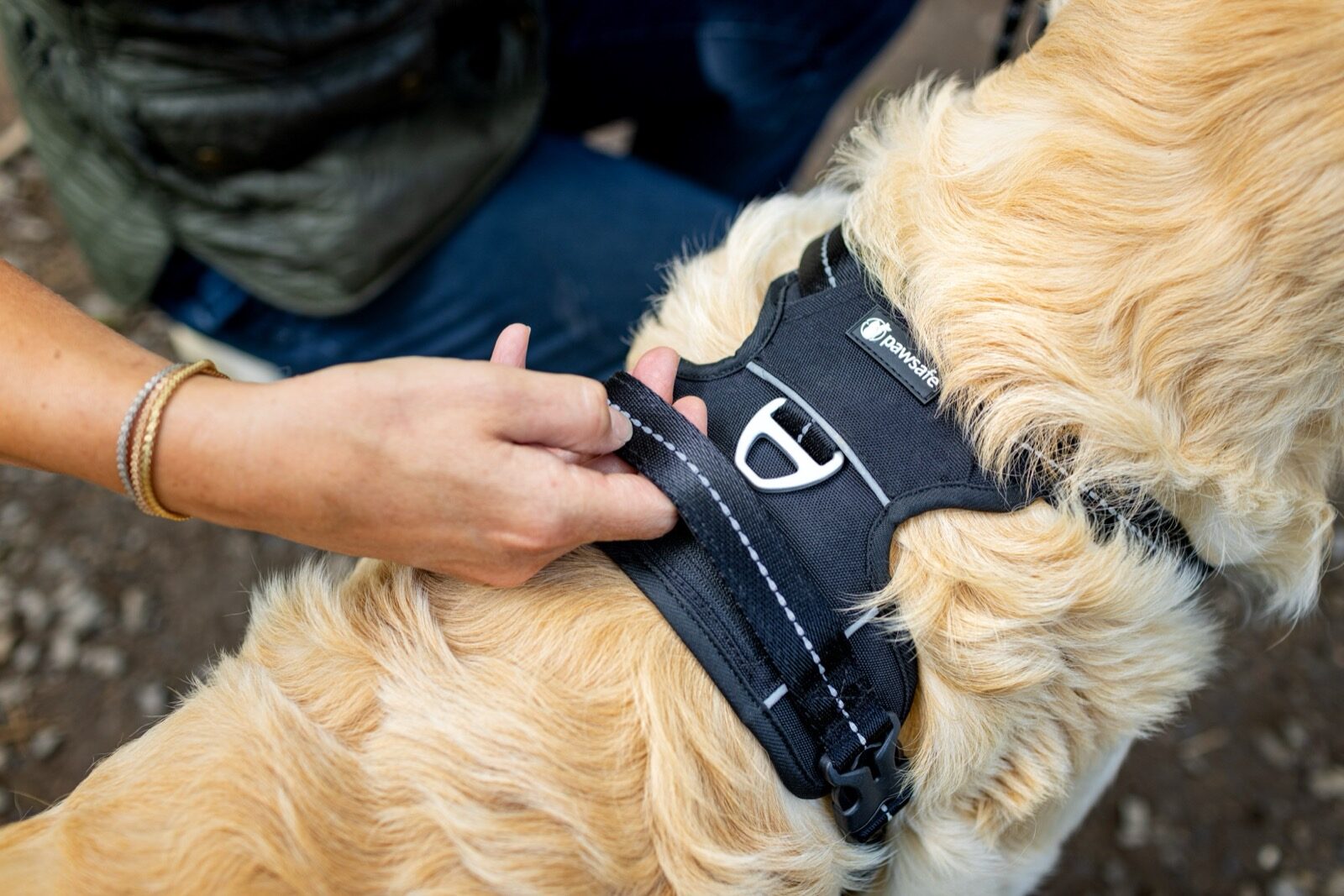 Woman jogging with a golden Labrador wearing a PawSafe Steady+Style harness on an urban pavement, calm even at pace