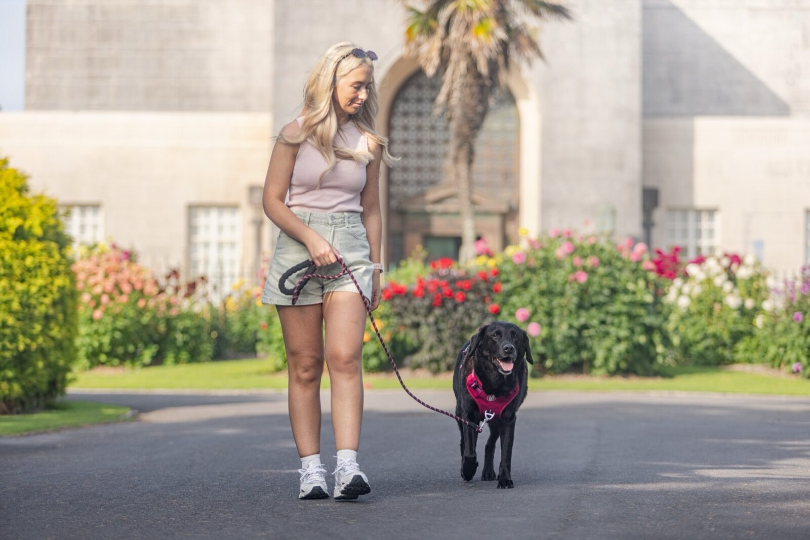 Confident city owner standing with her Labrador in a PawSafe Steady+Style harness against an urban architectural backdrop